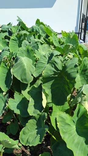 L@엿ňĂ闢łB@_؁ETgC