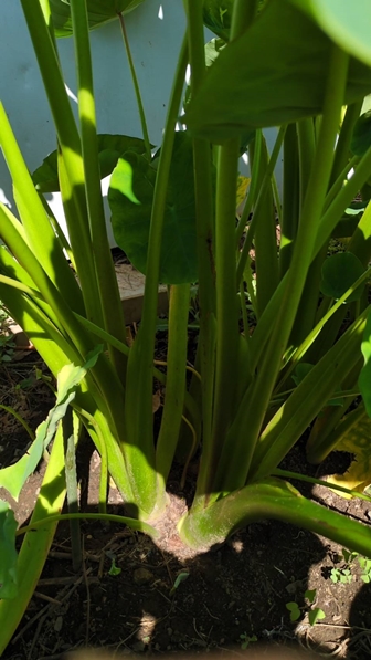 L@엿ňĂ闢łB@_؁ETgC