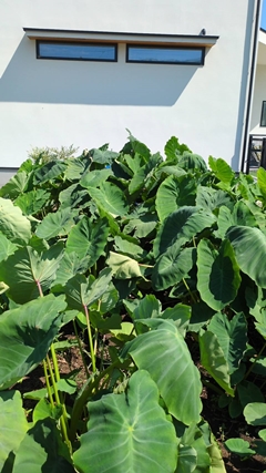 L@엿ňĂ闢łB@_؁ETgC