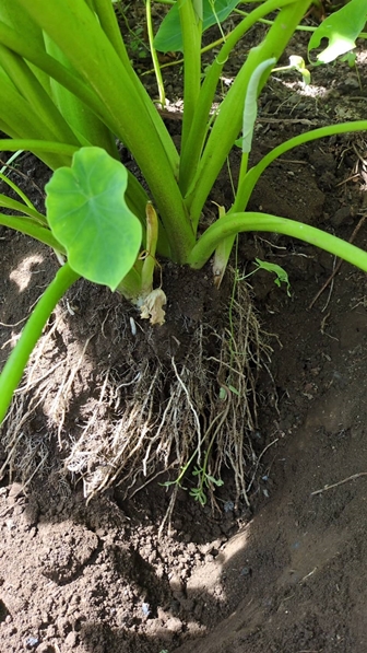 2025N925L@엿͔|̗@B܂łBnJn10{\B