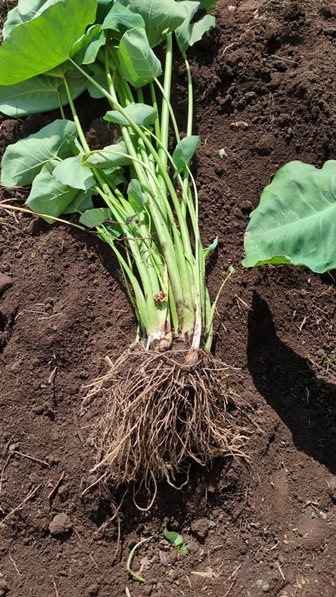 2025N925L@엿͔|̗@B܂łBnJn10{\B