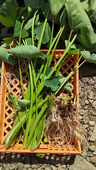 2025N925L@엿͔|̗@B܂łBnJn10{\B