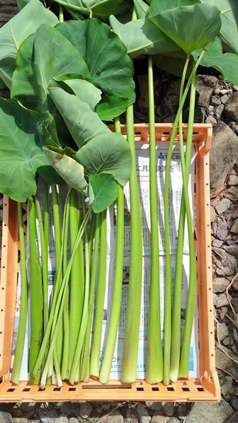 2025N925L@엿͔|̗@B܂łBnJn10{\B